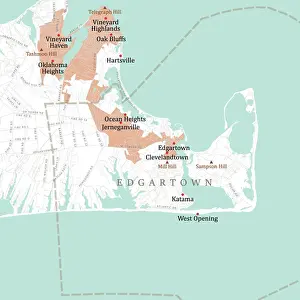 Edgartown Prints: MA Dukes Edgartown Vector Road Map
