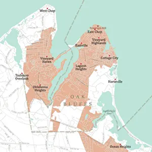 MA Dukes Oak Bluffs Vector Road Map