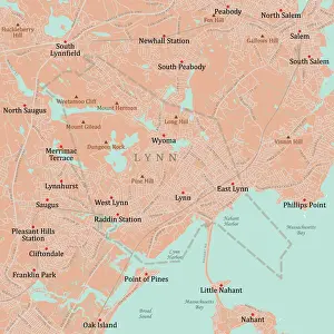 Essex Prints: MA Essex Lynn Vector Road Map