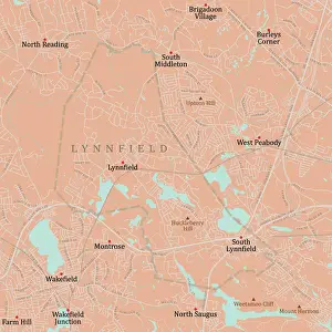 Essex Prints: MA Essex Lynnfield Vector Road Map