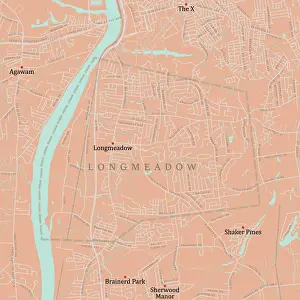 Connecticut River Prints: MA Hampden Longmeadow Vector Road Map