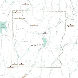 Hampden Prints: MA Hampden Wales Vector Road Map