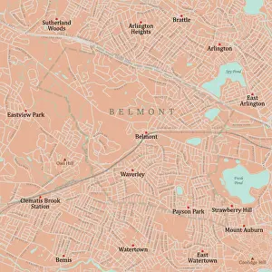 Middlesex Prints: MA Middlesex Belmont Vector Road Map