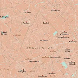 Middlesex Prints: MA Middlesex Burlington Vector Road Map