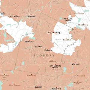 Middlesex Prints: MA Middlesex Sudbury Vector Road Map