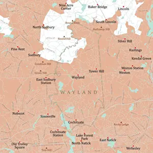 Middlesex Prints: MA Middlesex Wayland Vector Road Map