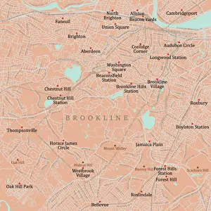 Norfolk Prints: MA Norfolk Brookline Vector Road Map