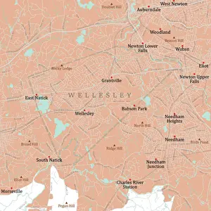 Norfolk Prints: MA Norfolk Wellesley Vector Road Map