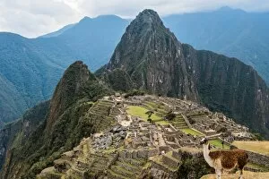 Images Dated 8th August 2016: Machu Picchu, Peru