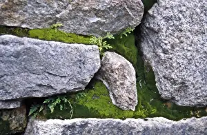 Inca Prints: Machu Picchu, Peru, South America, close up of Incan Stonemasonry