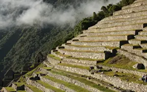 Machu Picchu Terraces