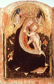 Images Dated 2nd September 2005: Madonna of the Quail