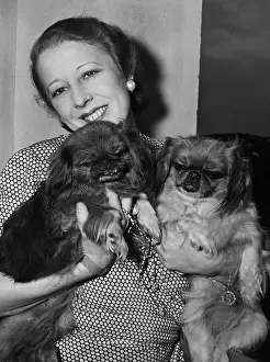 Romania Prints: Magda Lupescu With Her Dogs