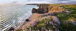 Freshness Collection: Magical Cornwall