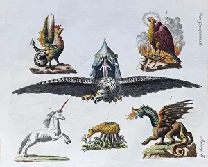 Animal Like Prints: Magical creatures, hand-colored copper engraving from childrens picture book by Friedrich