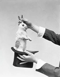 Images Dated 15th April 2016: Magician pulling rabbit out of hat