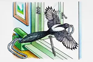 Greed Prints: Magpie flying away through open window with piece of jewellery in its beak