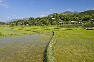 Acre Prints: Mai Chau Valley, Vietnam, Asia