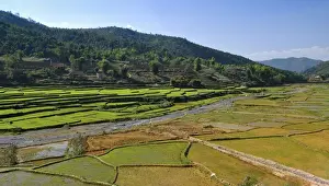 Acre Prints: Mai Chau Valley, Vietnam, Asia
