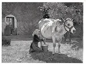 Maid Prints: Maid Milking White Cow