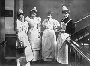 Maid Prints: Maids In A Row