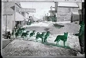 Mail Prints: Mail Carrying, Derby Winning Dogsled Team