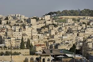 Images Dated 29th March 2011: Main entrance to the City of David, bottom, and the Palestinian neighbourhood of Silwan, top