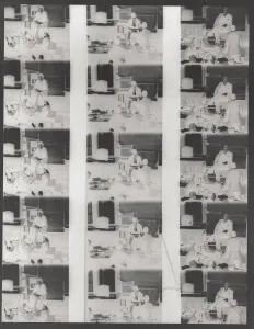 John F Prints: Main Witnesses of Bruno Hauptmann Trial