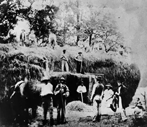 Making Hay