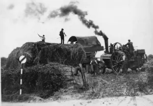Tractor Prints: Making Hay