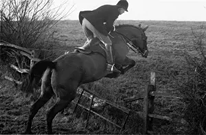Anima Prints: Making The Jump