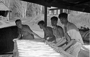 Making Rubber
