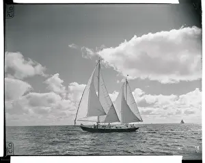 Yacht Prints: Malabar