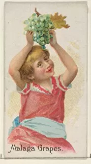 Malaga Grapes Trade Card 1891