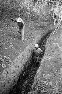 Greater Antilles Prints: Malaria Drain