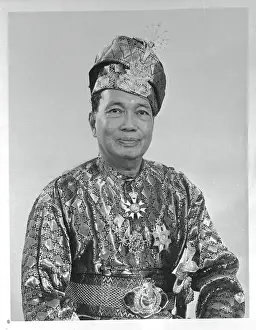 Malayan Sultan