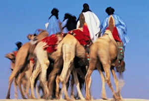 Small Group Of People Gallery: Mali, Timbuktu, Sahara Desert, Tuareg camel riders