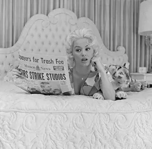 Stuffed Animal Prints: Mamie Van Doren Lying in Bed with Newspaper