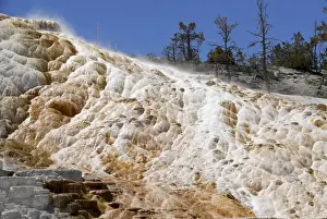 America Prints: Mammoth Hot Spring Terraces, Yellowstone National Park, Wyoming, USA