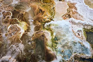 Images Dated 18th September 2016: Mammoth Hot Springs, Yellowstone National Park, Color Image, Day, Geology, Hot Spring