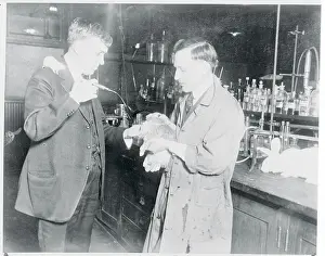 Rabbit Prints: Man Administering Moonshine to a Rabbit