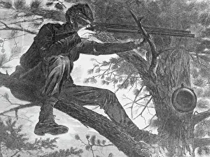 Man Aiming Rifle from a Tree