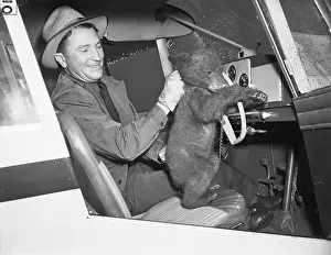 Baby Animal Prints: Man with Bear Cub in Cockpit