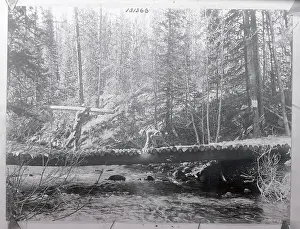 Colorado Prints: Man Carrying Log with Others Working on Bridge
