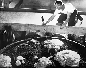 Thermometer Prints: Man Checking Wine Fermentation Tank