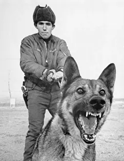Ferocity Prints: Man and Dog Team