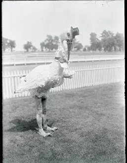 Mineola Prints: Man Dressed up as Stork