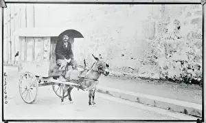 Palermo Prints: Man Driving Donkey Driven Cart