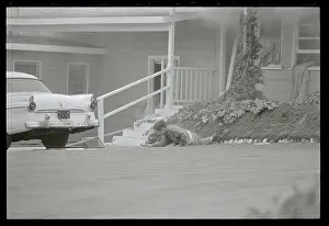 Manhattan Beach Prints: Man Dying in Road