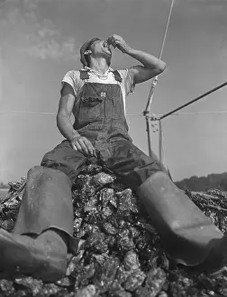 Town Of Oyster Bay Prints: Man Eating Oyster
